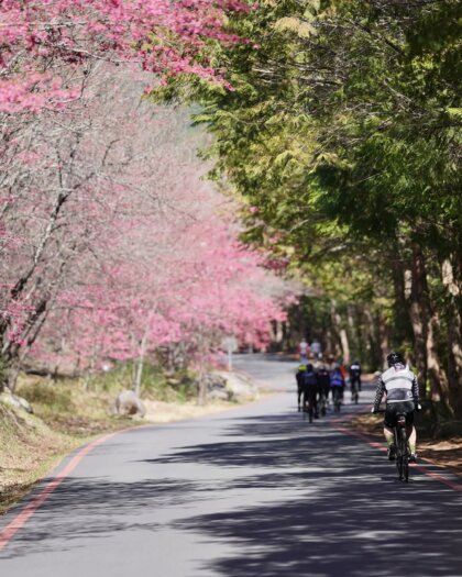 台灣天氣四季環島，台灣環島天數大不同​：台灣最合適環島季節為春天跟秋天